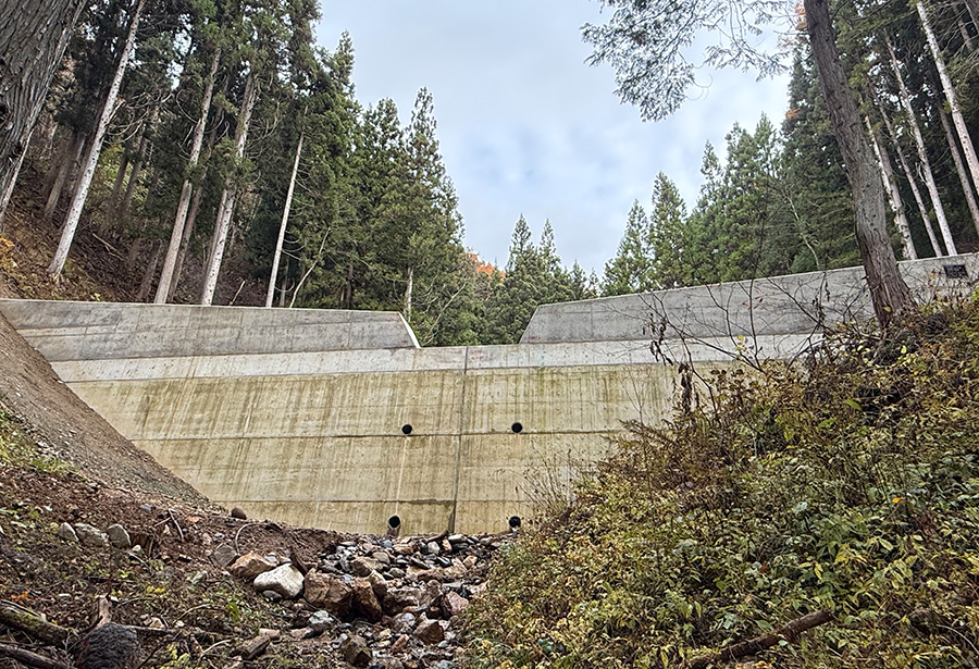 飛治第0605号　公共　予防治山工事（一ノ洞）