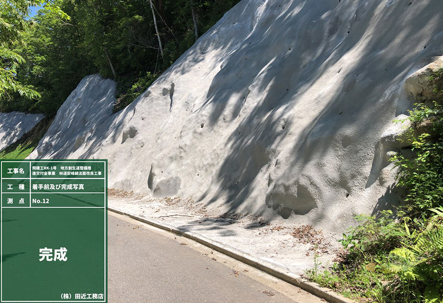 飛建工RK-1号　地方創生道整備推進交付金事業　林道安峰線法面改良工事